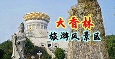 男生操女人阴道视频中国浙江-绍兴大香林旅游风景区